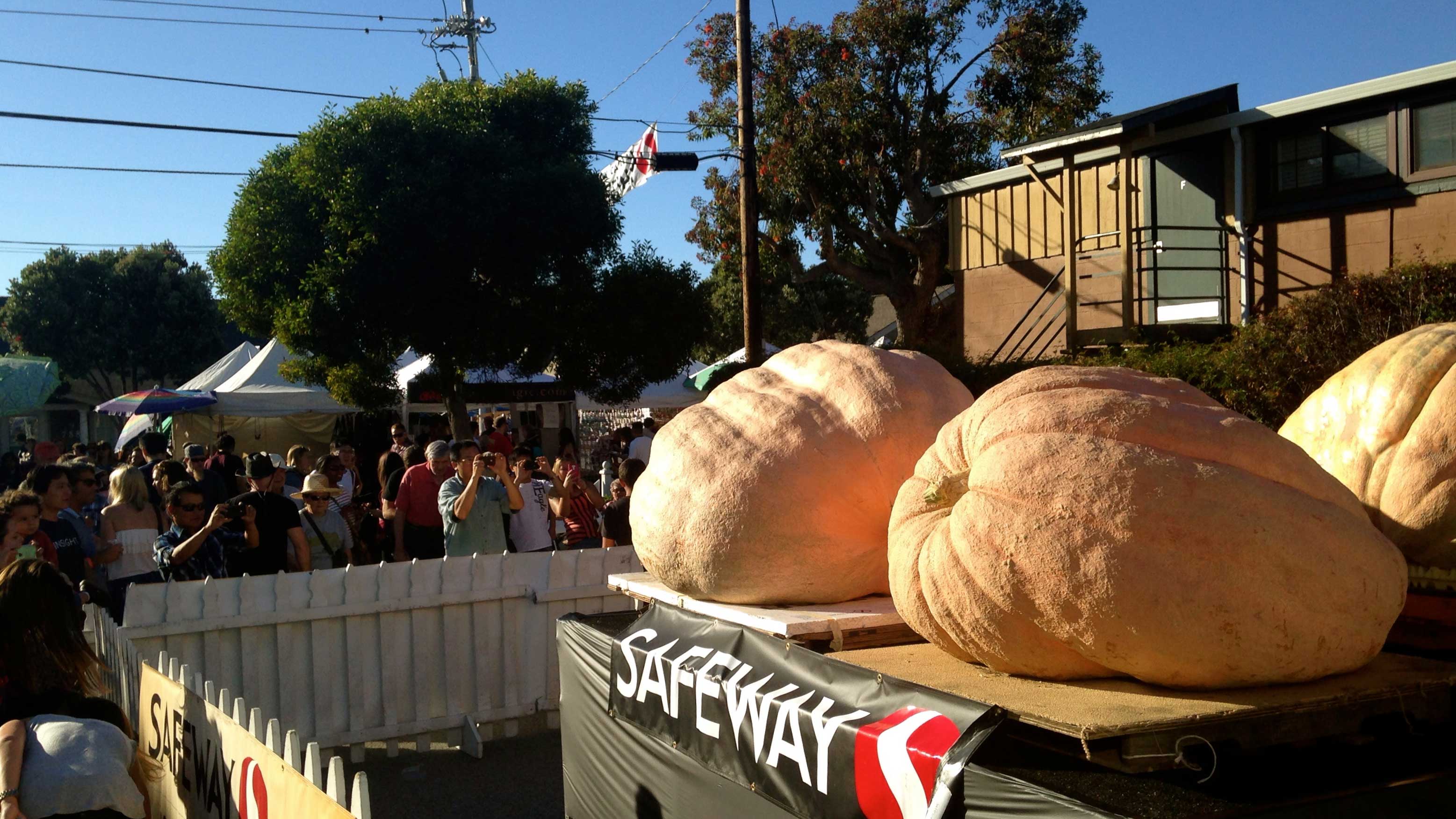 Selfproclaimed 'world pumpkin capital' Half Moon Bay hosts annual