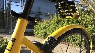 Ofo bike at a park in Palo Alto.