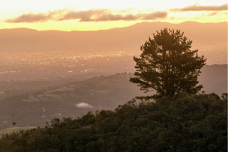 Sunrise over the California Bay Area at Windy Hill Open Space Preserve. (Kira Minehart/Peninsula Press)