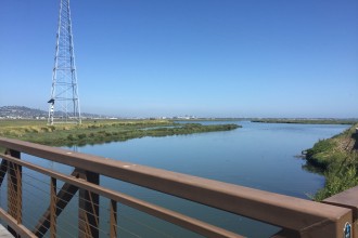 Bair Island in Redwood City, California (Isha Salian/Peninsula Press)