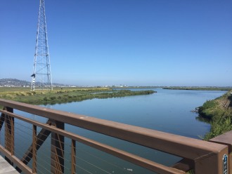 Bair Island in Redwood City, California (Isha Salian/Peninsula Press)