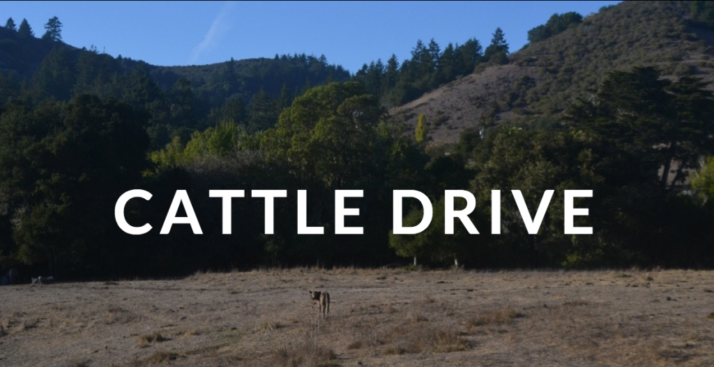Cattle-Drive-Header