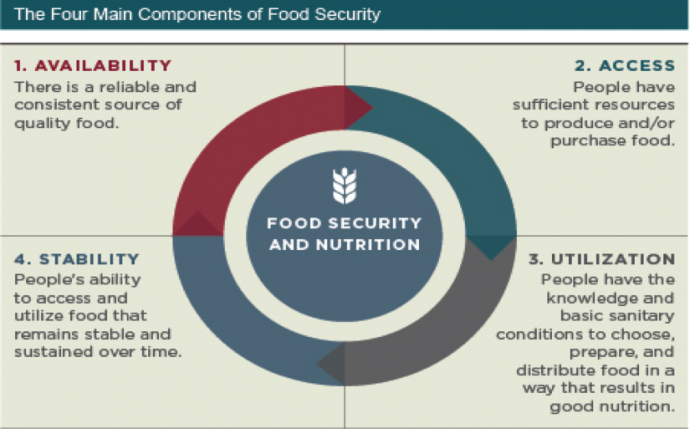 research program on climate change agriculture and food security