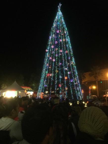 San Jose residents gather around the large Christmas tree in the center of the park. (Spenser Linney/Peninsula Press)