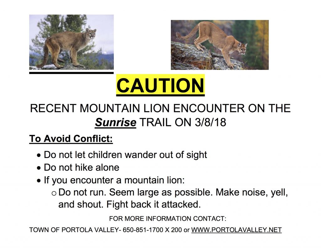A caution sign reporting a recent mountain lion encounter and outlining steps to avoid conflict.