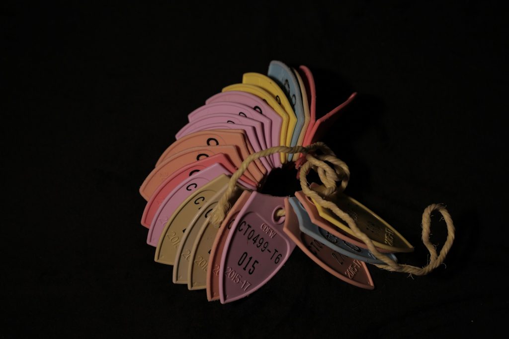 Jeff Christner found these fishing tags over a span of 10 years.