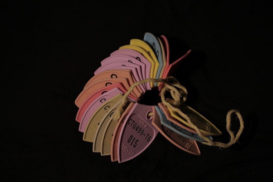 Jeff Christner found these fishing tags over a span of 10 years. Issued by the state, the tags are usually attached to buoys and ropes, likely to tag crab pots or fishing gear. (Jackie Botts/Peninsula Press)