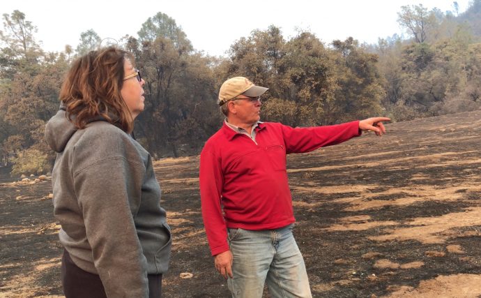 SPECIAL REPORT: Camp Fire Aftermath Archives - Peninsula Press
