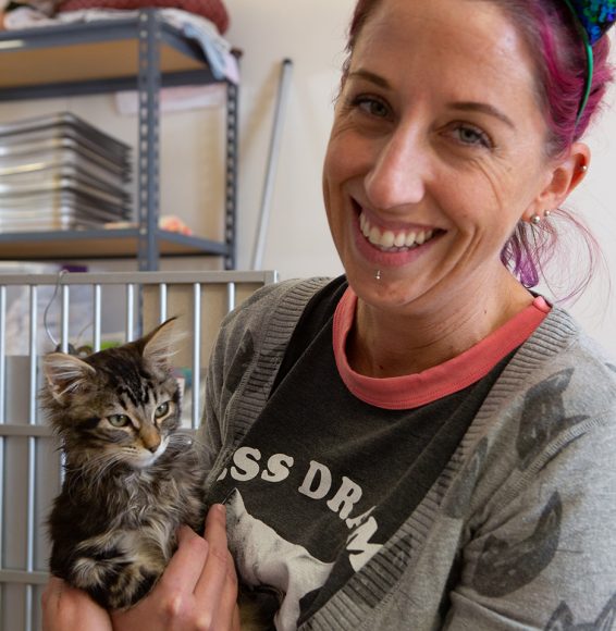 Sarah Varanini, Sacramento SPCA's media specialist, is dressed as a cat for Halloween. She carries an adoptable kitten that was displaced twice by the Kincade Fires in Sonoma County, on Thursday, Oct. 31, 2019. (Salma Loum/ Peninsula Press)