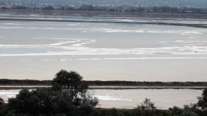 The Cargill salt ponds in Redwood City