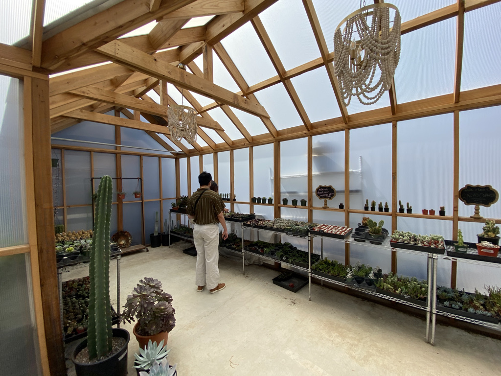 A person is looking at shelves of plants
