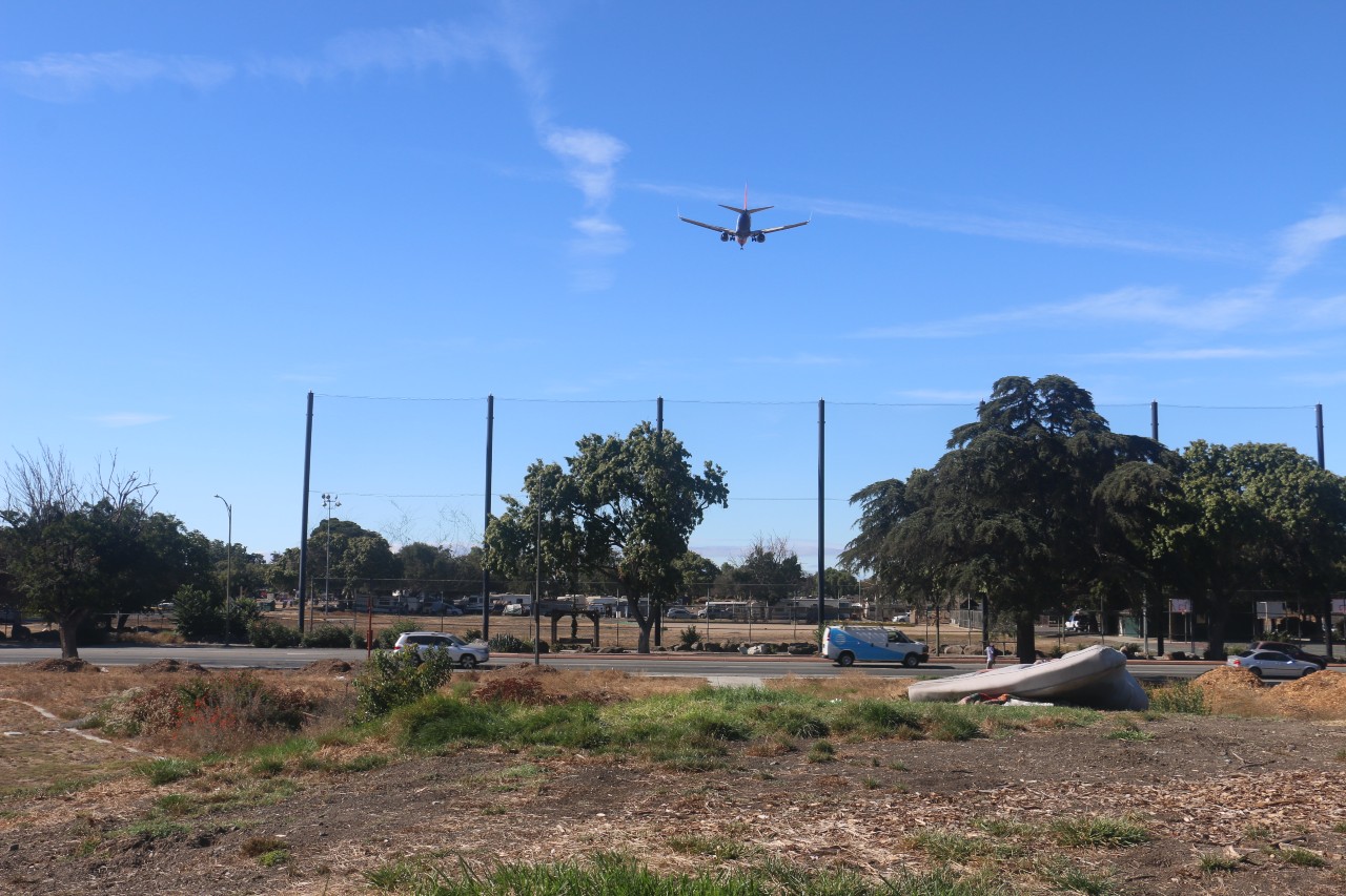 A picture of a park with an airplane overhead.