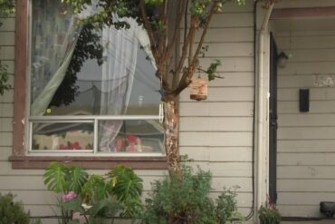 A picture of a house from the outside.