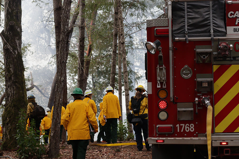 Attendees of San Mateo County’s first intentional burn in the redwoods’ understory head to observe the burn site.