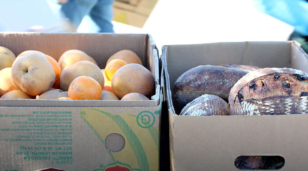  It s A Win Win Food Recovery Programs In The Bay Area Reduce Food 