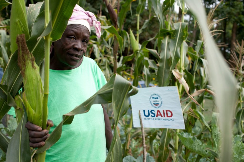A woman peeks out from behind a stalk of corn. A USAID sign is behind her.