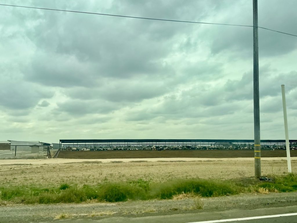 Pixley CAFO 2