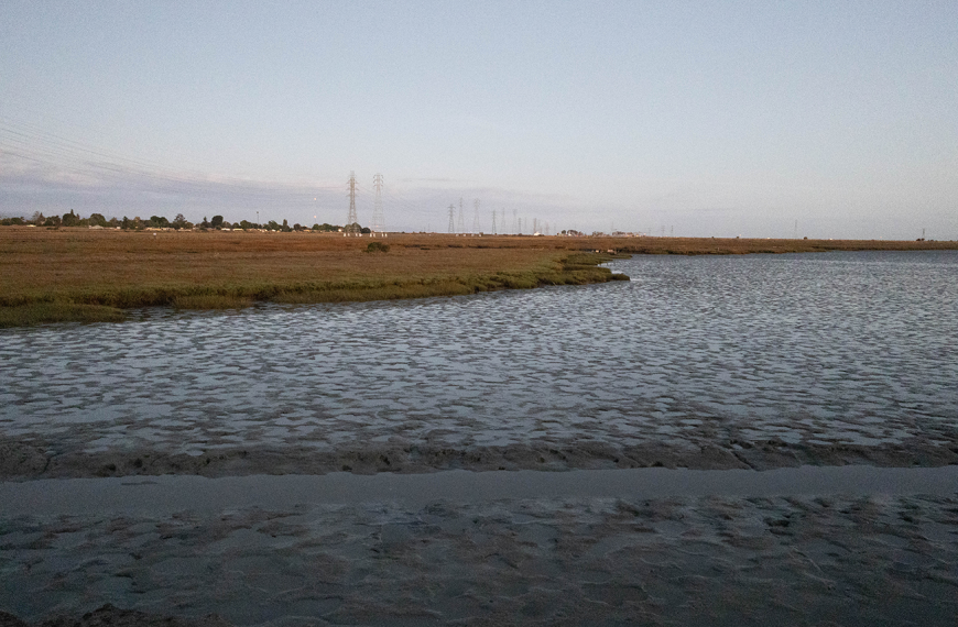 Groundwater Rise, A Looming Threat in East Palo Alto