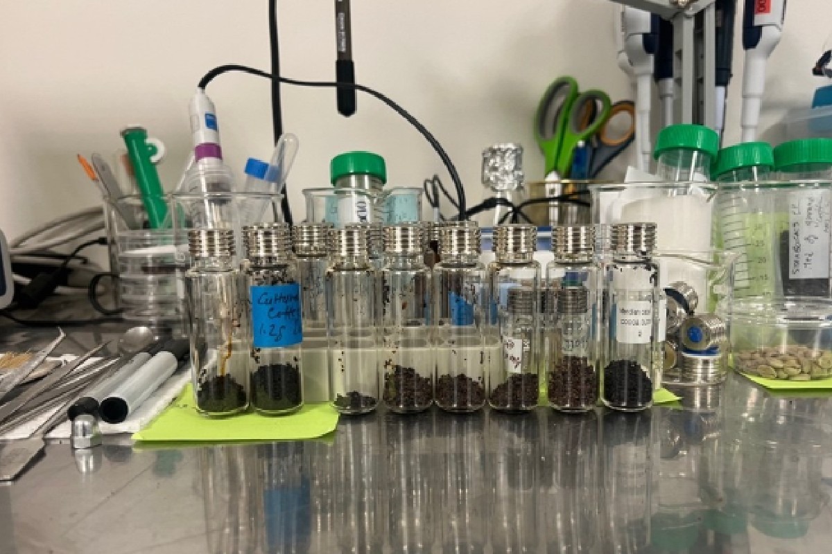 Cocoa, Cultured: Inside the California Startup Growing Cacao from Cells 