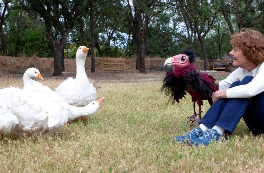 These three women breathe life into puppets in Northern California