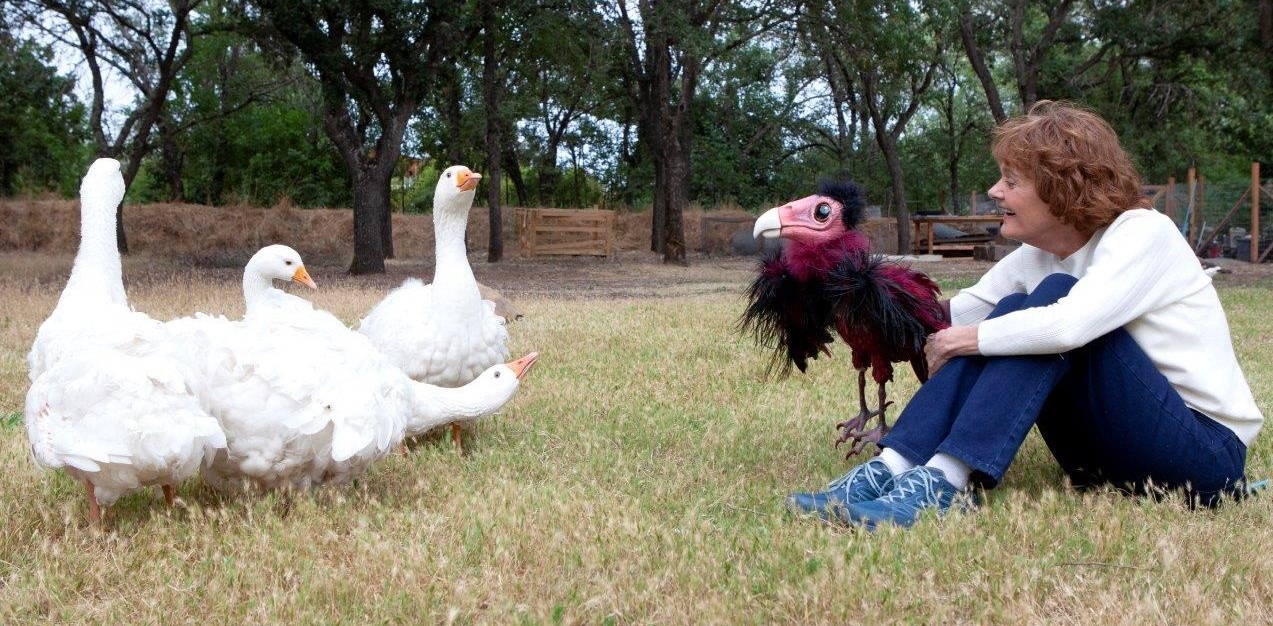 These three women breathe life into puppets in Northern California