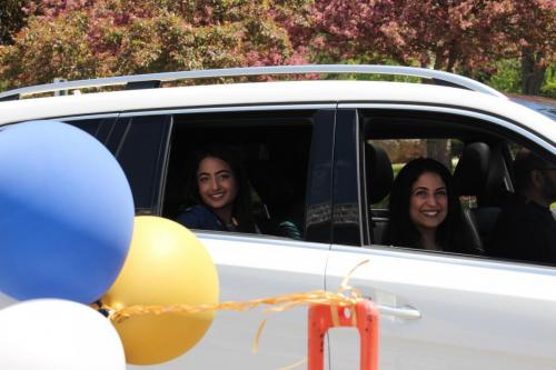 Decorated vehicles