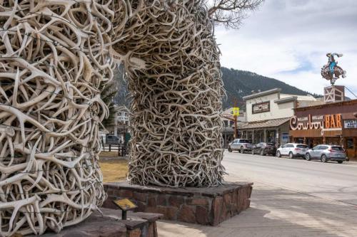 Elk Antler arches