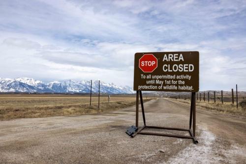 Elk Refuge Road